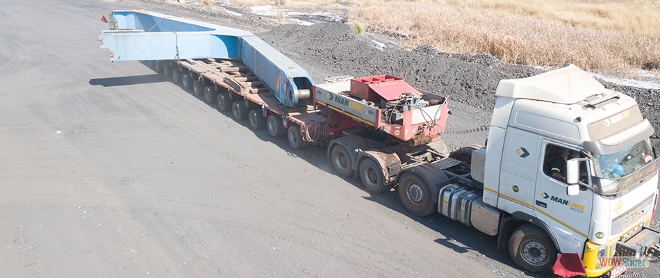 Cat20