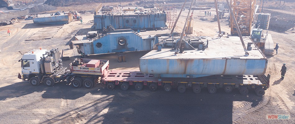 Cat22